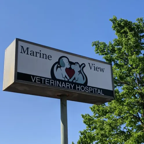 Marine View Veterinary Hospital sign